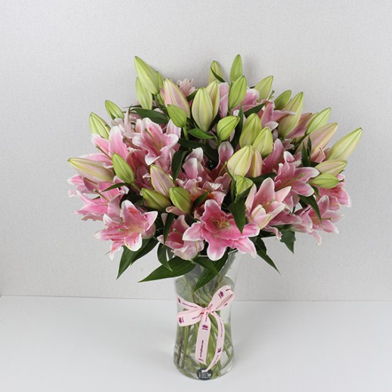 Lilium Stargazer Flowers