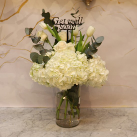 Clear Vase Hydrangea Get well