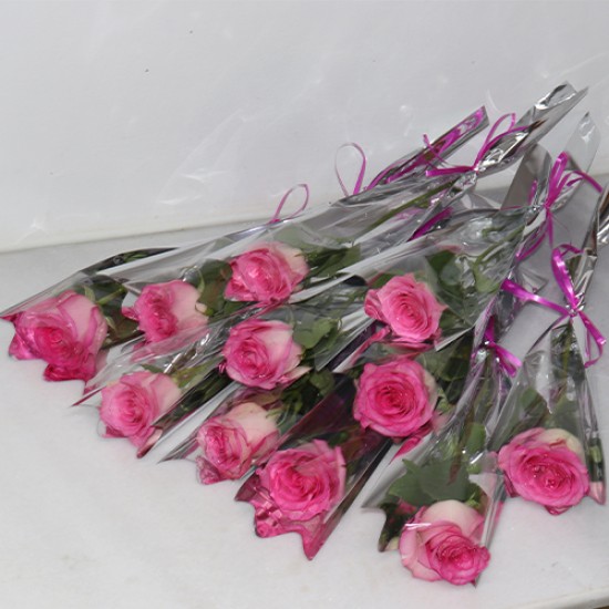 Single pink roses 10 pieces