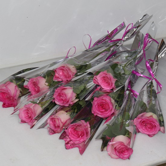 Single pink roses 15 pieces