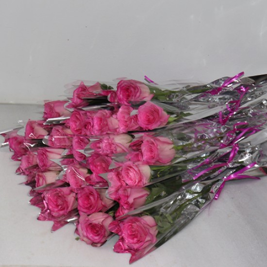 Single pink roses 20 pieces