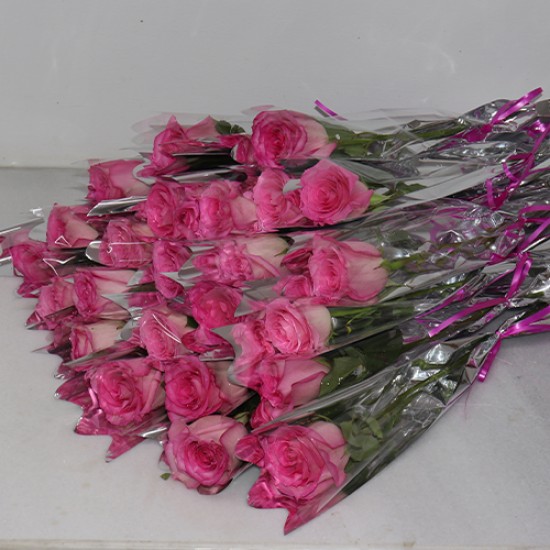 Single pink roses 25 pieces