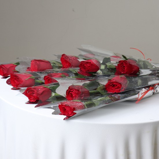 Single red roses 10 pieces