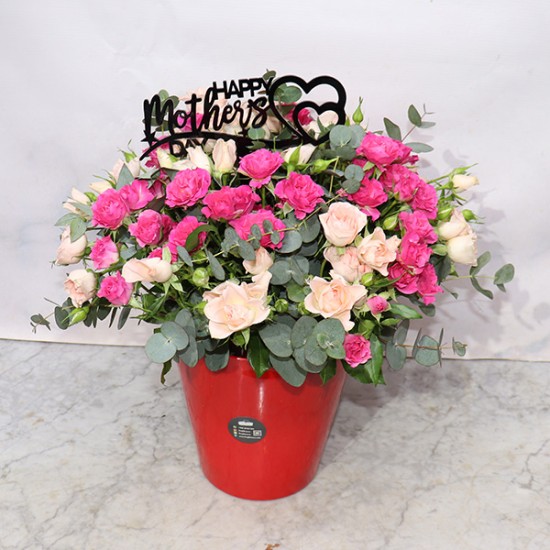 Red Basket Mix Flowers