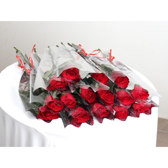 Signal Red Roses 10pcs